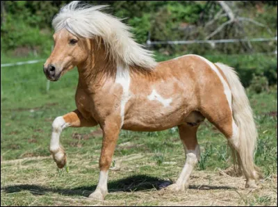 Choisis une option :