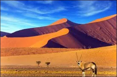 Dans quel pays se situe le d&eacute;sert du Namib ?