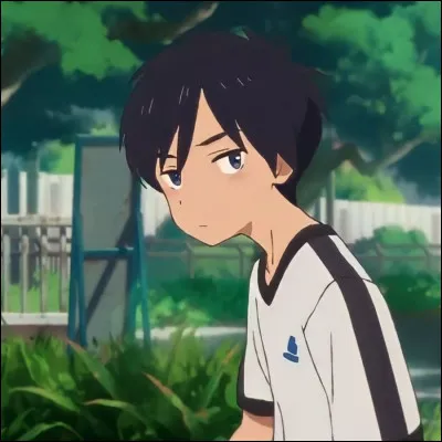 "Les Murs vagabonds" est-il un Studio Ghibli ?