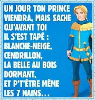 Allez on complique. Quelle chanteuse a interpr&eacute;t&eacute; le titre ''Un prince en exil'' ?