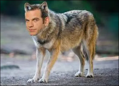 ''Le Bougalou du Loup Garou''. Quel artiste a pu interpr&eacute;ter cette chanson au titre bizarre ?