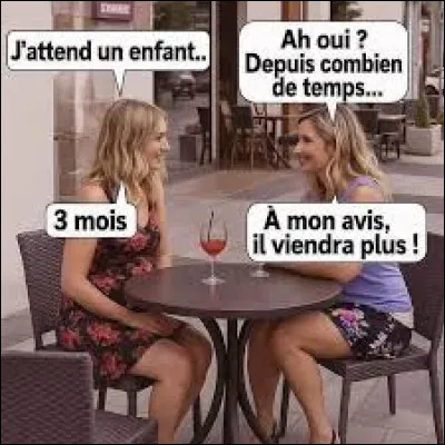 Quelle chanteuse a interpr&eacute;t&eacute; le titre ''Qu'est-ce qui fait pleurer les blondes'' ?