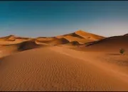 Quiz Culture g�n�rale - Vrai ou faux ? (116)