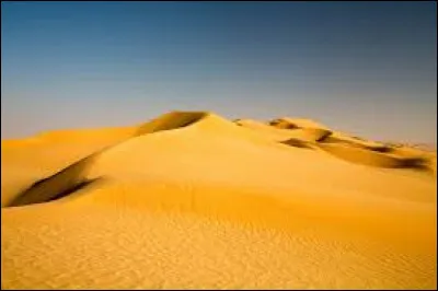 Le premier animal &agrave; avoir &eacute;t&eacute; clon&eacute; &eacute;tait une brebis.