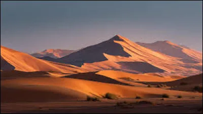 Le plus grand d&eacute;sert du monde est le Sahara.