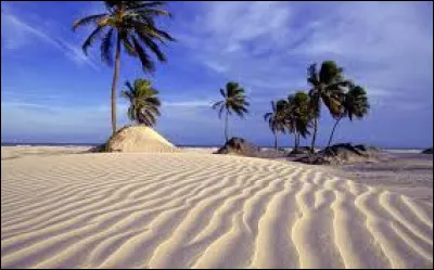 Le plus long fleuve du monde est l'Amazone.