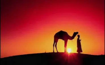 Quiz Culture g�n�rale