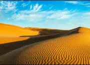 Quiz Culture g�n�rale - Vrai ou faux ? (120)