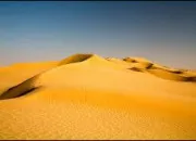 Quiz Culture g�n�rale - Vrai ou faux ? (121)