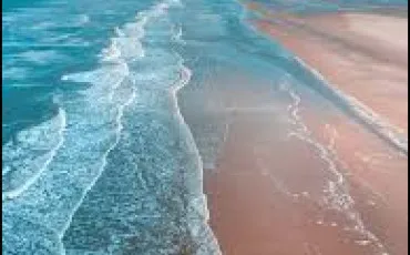 Quiz Culture g�n�rale