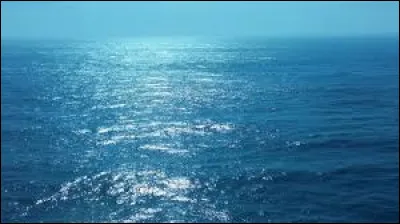 Quel organe humain peut se r&eacute;g&eacute;n&eacute;rer presque enti&egrave;rement ?