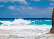 Quiz Culture G pour briller en soir�e ! (7)