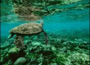 Quiz Culture G pour briller en soir�e ! (8)