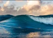 Quiz Culture G pour briller en soir�e ! (9)