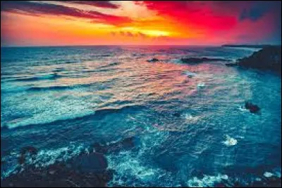 Quel &eacute;crivain a imagin&eacute; un monde o&ugrave; les livres sont interdits ?