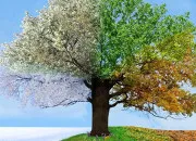 Test Quelle saison es-tu ?