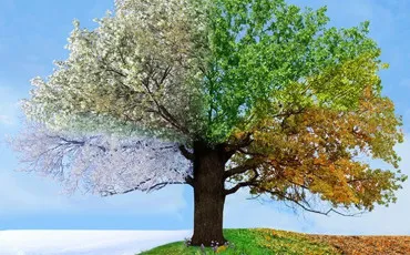 Quiz Test de personnalit�