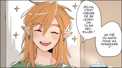 On commence facile ; comment s'appelle le personnage que l'on joue dans le jeu ?