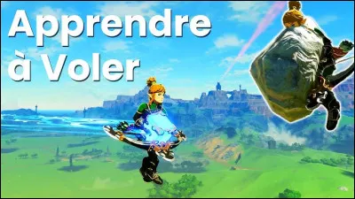 Comment s'appelle ce glitch ?