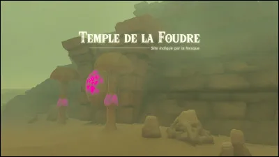 Qui n'est pas descendu(e) dans la cit&eacute; souterraine ?