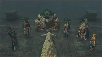 Quelle est la pierre occulte de Riju ?