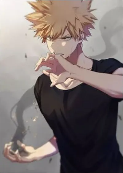 De quel genre de personnages est form&eacute; ton couple ?