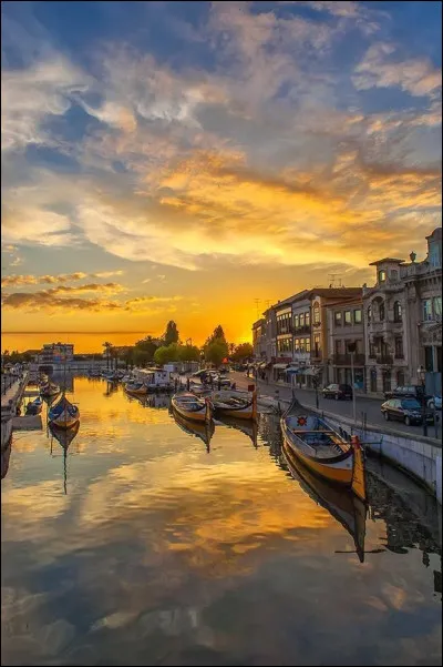 Quel dessert portugais est mondialement connu ?