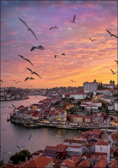 Quel pays est le seul voisin terrestre du Portugal ?