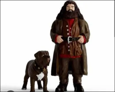 Cet homme est le premier sorcier que Harry rencontre.Quel est son nom ?