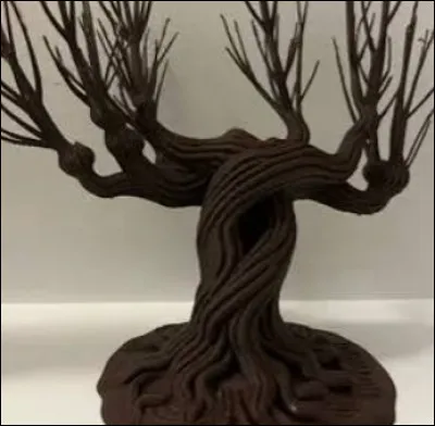 Comment s'appelle cet arbre qui accueille Harry et Ron lors de leur deuxi&egrave;me rentr&eacute;e ?