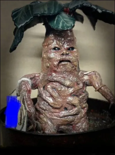 Cette plante enseign&eacute;e &agrave; l'&eacute;cole des sorciers a la particularit&eacute; de crier lorsqu'on la sort de terre. C'est...