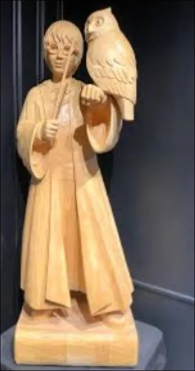 Que porte ce sorcier sur son bras gauche ?