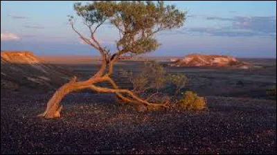 Quel est le pays le plus vaste d'Oc&eacute;anie ?