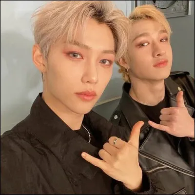 Qui sont-ils de gauche &agrave; droite ? ( Stray Kids)