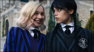 Qui est le/la colocataire de Mercredi ?