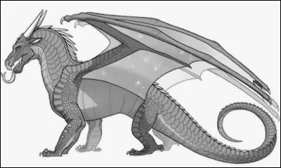 Comme s�appelle l�Aile de Nuit qui a &eacute;crit "Les Ailes de Boue, dragons ou limaces ?" ?