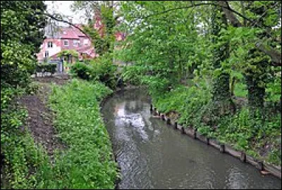 A Vienne mais pas la Vienne.