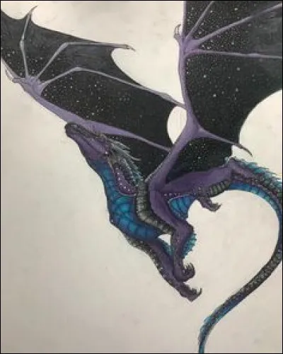 Vous f&ecirc;ter nouvelle ans comment vous ?moi,chez mes voisin avec toute la famille ! ! !