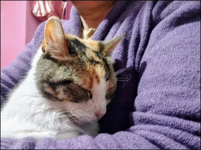 Tu es maintenant gu&eacute;risseur et ton ancien mentor tombe malade du mal blanc. Que fais-tu ?