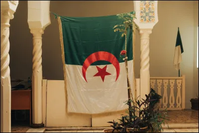 Qui sont les meilleurs alg&eacute;riennes ?