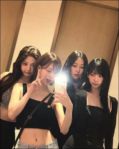 Quelle agence de K-pop g&egrave;re les groupes Exo, NCT et Aespa ?