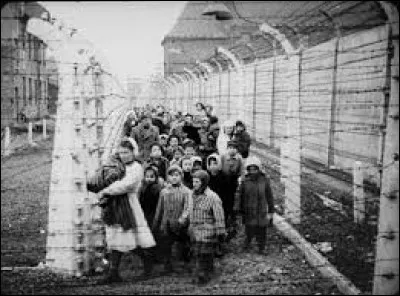 Quel est le nom du complexe o&ugrave; se trouve Auschwitz‑Birkenau ?