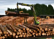 Quiz Expressions et mots qu�b�cois !