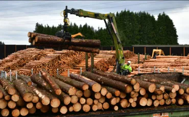 Quiz Langues �trang�res