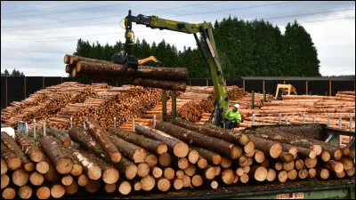 Que veut dire l'expression qu&eacute;b&eacute;coise ''Se tirer une b&ucirc;che.'' ?