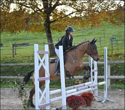 Pourquoi as-tu commenc&eacute; l'&eacute;quitation ?