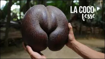 On a du mal &agrave; imaginer, que si longtemps apr&egrave;s, elles soient toujours aussi douces !