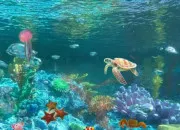 Quiz Cr�ature marine