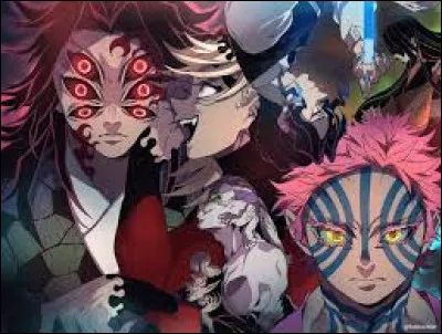 "Tanjiro Kamado� Tu vaincras la lumi&egrave;re du soleil et deviendras le d&eacute;mon le plus puissant, le roi des d&eacute;mons ! Car tu es le fr&egrave;re a&icirc;n&eacute; de Nezuko Kamado et tu partages donc son sang. Tu ne mourras pas. J�en suis convaincue. R&eacute;alise mon r&ecirc;ve� Tanjiro. &Agrave; ma place� tu dois an&eacute;antir� le Corps des pourfendeurs de d&eacute;mons ! "Qui a dit &ccedil;a ?