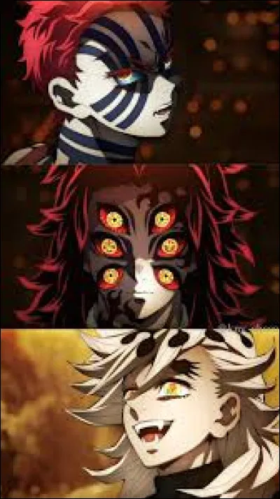 Qui a dit : "Tu te m&eacute;prends, Tanjiro. Je ne m&eacute;prise que les faibles. Je ne crache que sur les faibles. Oui. Les faibles me d&eacute;go&ucirc;tent. C'est la loi de la nature qu'ils soient &eacute;limin&eacute;s." ?